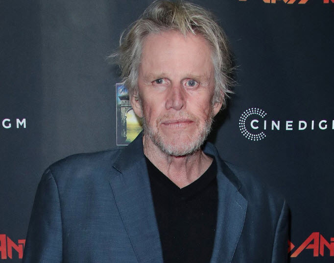 Gary Busey